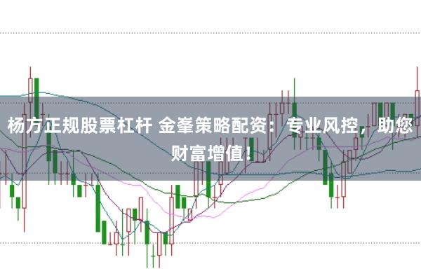 楊方正規(guī)股票杠桿 金峯策略配資：專業(yè)風(fēng)控，助您財(cái)富增值！