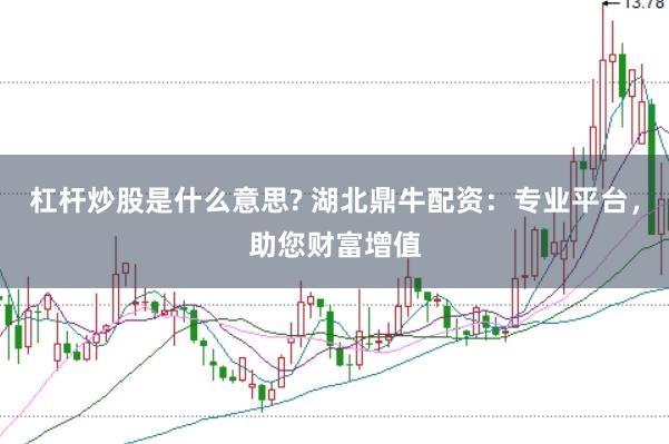 杠桿炒股是什么意思? 湖北鼎牛配資：專業(yè)平臺，助您財富增值