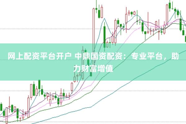 網(wǎng)上配資平臺開戶 中鼎國資配資：專業(yè)平臺，助力財富增值