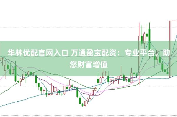 華林優(yōu)配官網(wǎng)入口 萬通盈寶配資：專業(yè)平臺(tái)，助您財(cái)富增值
