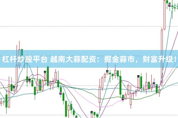 杠桿炒股平臺(tái) 越南大蒜配資：掘金蒜市，財(cái)富升級(jí)！