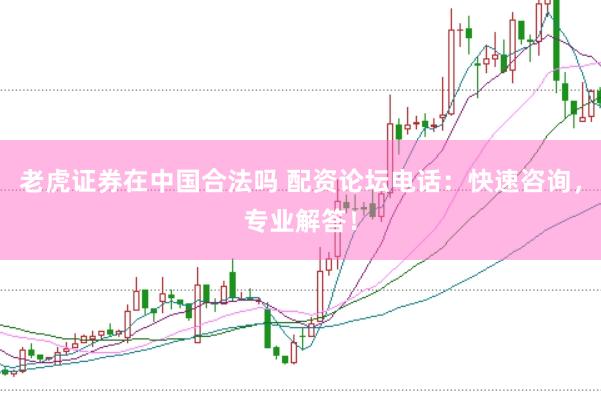 老虎證券在中國合法嗎 配資論壇電話：快速咨詢，專業(yè)解答！