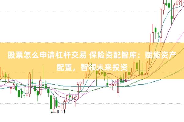 股票怎么申請杠桿交易 保險資配智庫：賦能資產(chǎn)配置，智領(lǐng)未來投資