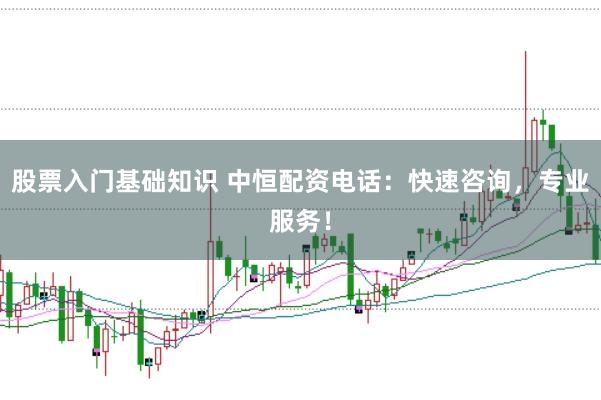 股票入門基礎(chǔ)知識(shí) 中恒配資電話：快速咨詢，專業(yè)服務(wù)！