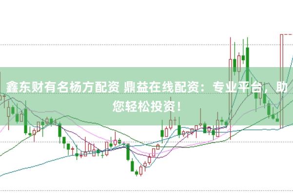 鑫東財有名楊方配資 鼎益在線配資：專業(yè)平臺，助您輕松投資！