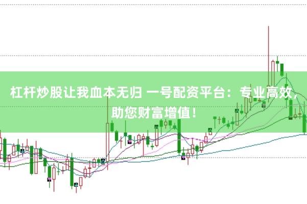 杠桿炒股讓我血本無(wú)歸 一號(hào)配資平臺(tái)：專業(yè)高效，助您財(cái)富增值！