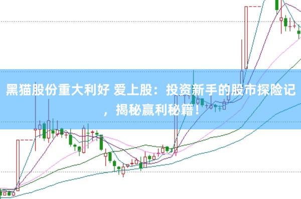 黑貓股份重大利好 愛上股：投資新手的股市探險記，揭秘贏利秘籍！