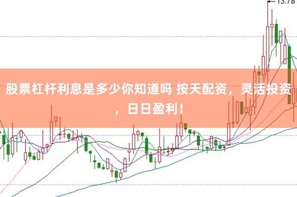股票杠桿利息是多少你知道嗎 按天配資，靈活投資，日日盈利！