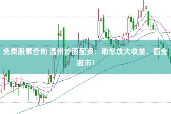 免費(fèi)股票查詢 溫州炒股配資：助您放大收益，掘金股市！