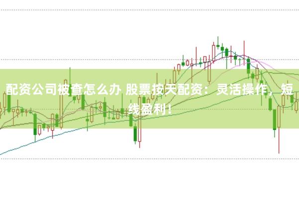 配資公司被查怎么辦 股票按天配資：靈活操作，短線盈利！