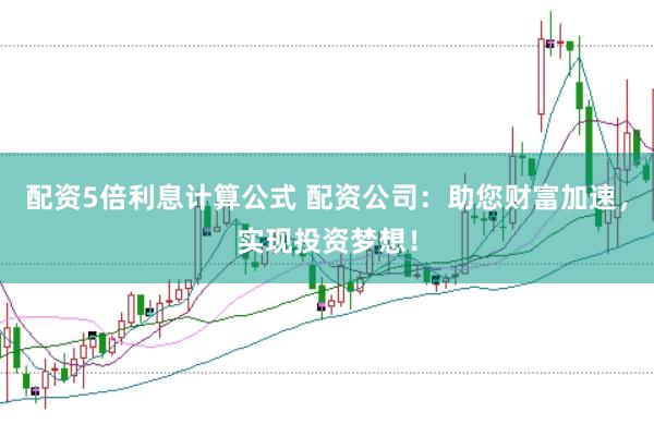 配資5倍利息計(jì)算公式 配資公司：助您財(cái)富加速，實(shí)現(xiàn)投資夢(mèng)想！