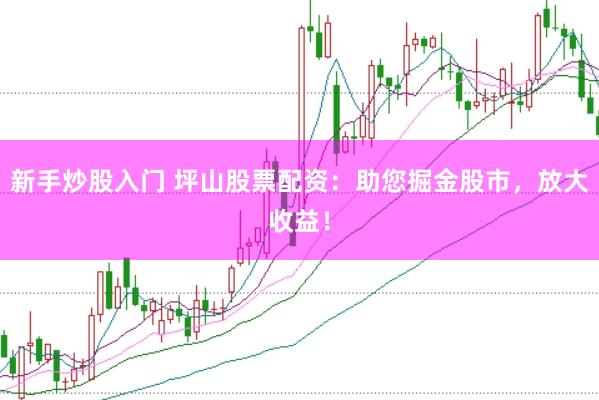 新手炒股入門 坪山股票配資：助您掘金股市，放大收益！